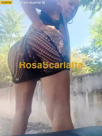 Vanessa
