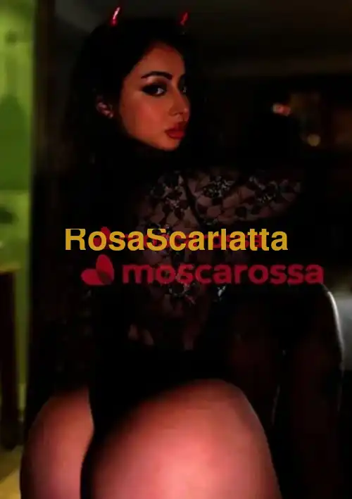 Terza immagine della gallery