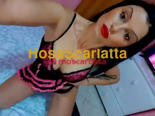 Foto 2 di Ysabella, escort a Roma