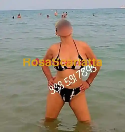 img_2.jpg