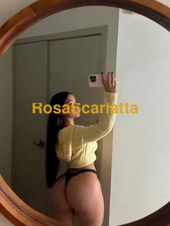 Bea colombiana