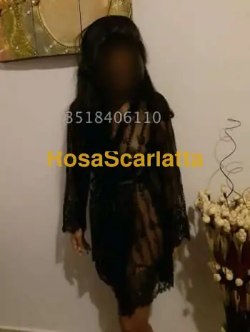 Thai provato