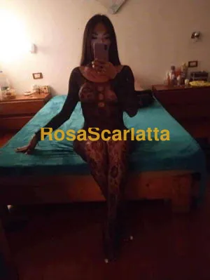 New