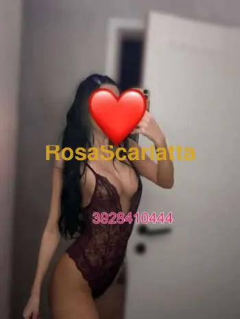Sofia