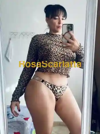 Katy