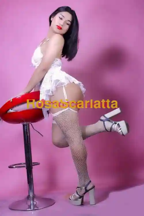 Foto 2 di Eiza, trans a Modena