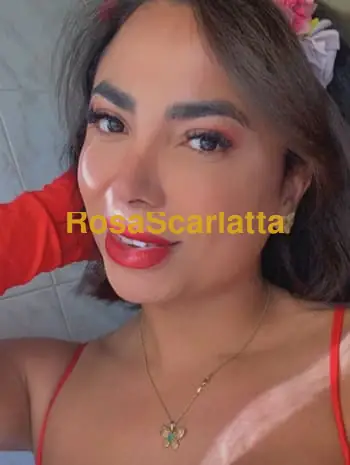 Disponibile solo per italiani