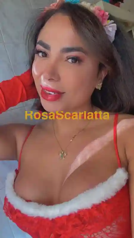 Seconda immagine della gallery