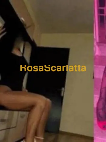 Foto 1 di Giulia, escort a Rovigo