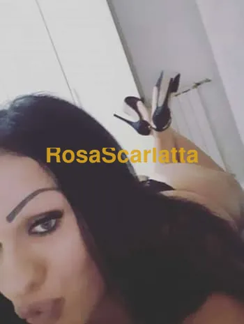 Morena trans