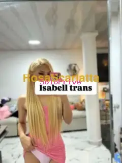 Isabell trans