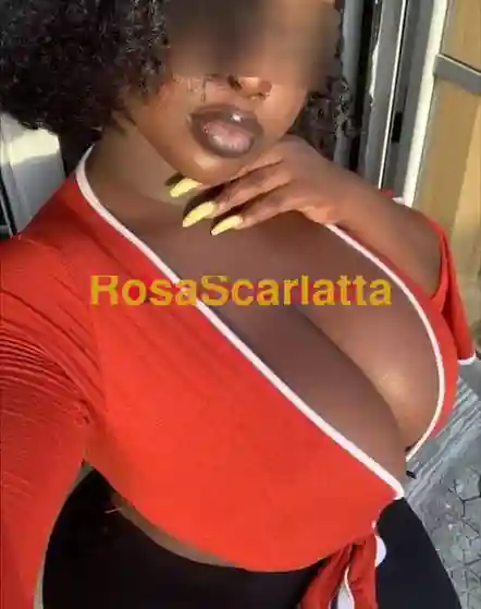 Foto 3 di Anita ghana, escort a Torino
