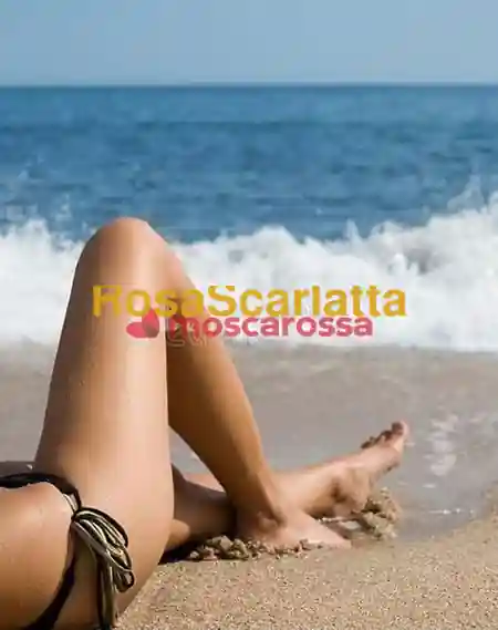 Seconda immagine della gallery