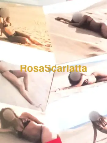 Sara