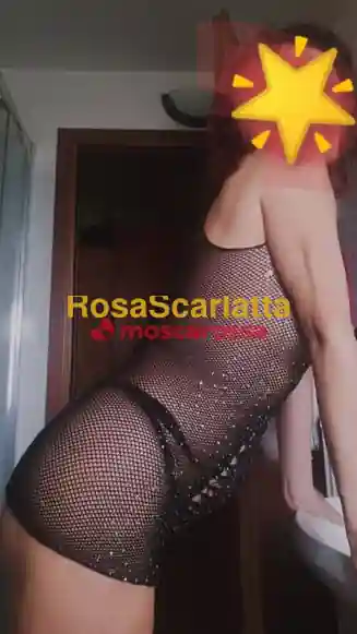 Seconda immagine della gallery