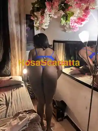 Foto 2 di Alice, trans a Prato