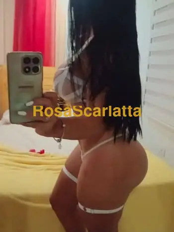 Dianaprimavera