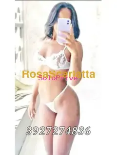 New