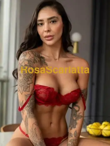 Stella novita a parabiago - Milano