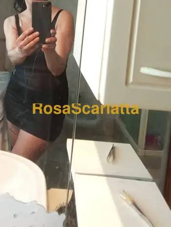 Veronica
