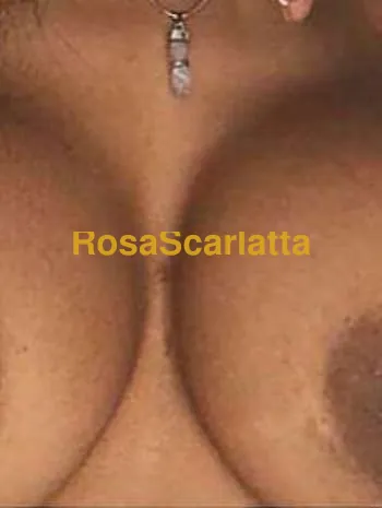 Maria sempre