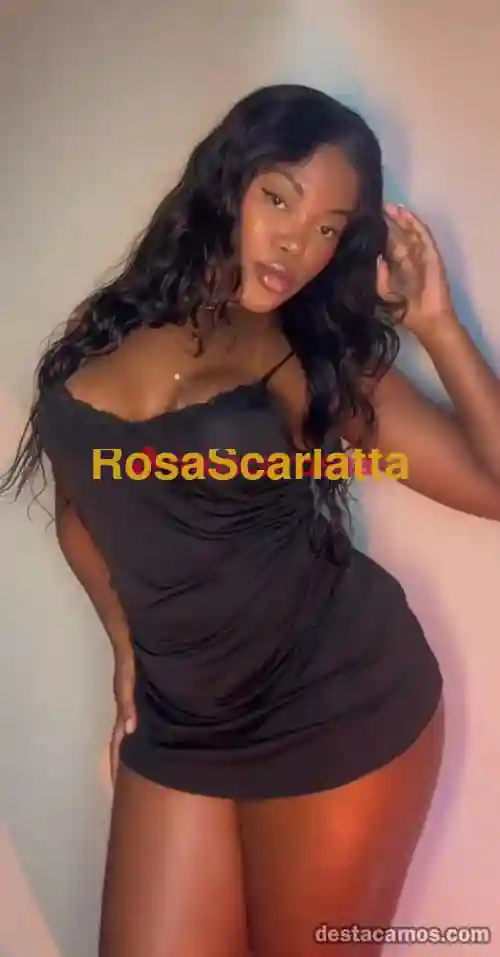 Seconda immagine della gallery