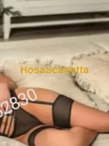 New