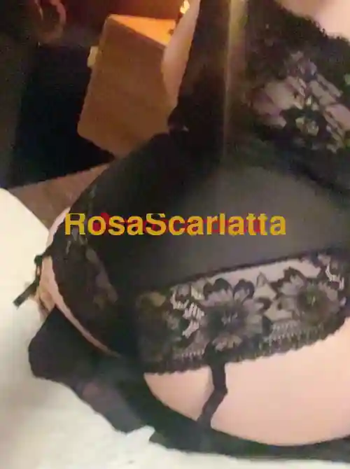 Seconda immagine della gallery