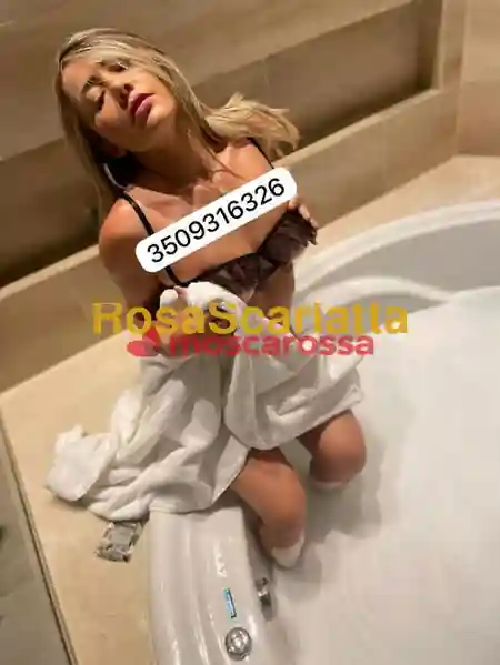Foto 2 di New, escort a Parma