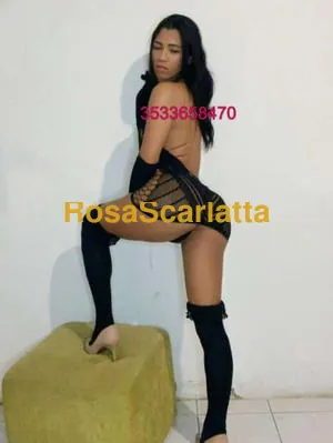 Brunna - Trans Prato