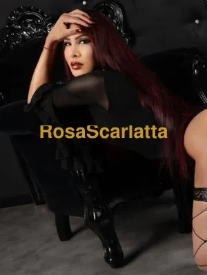 Sofia - Trans Alessandria