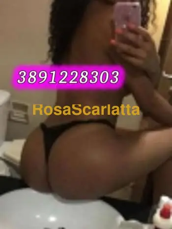 New