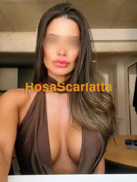 Foto 2 di Dani, escort a Lecco