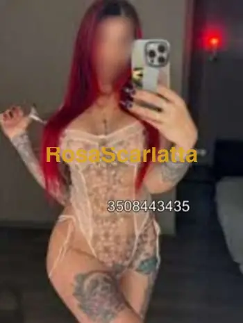 New