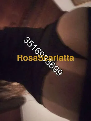 Novita
