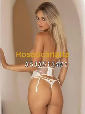 New