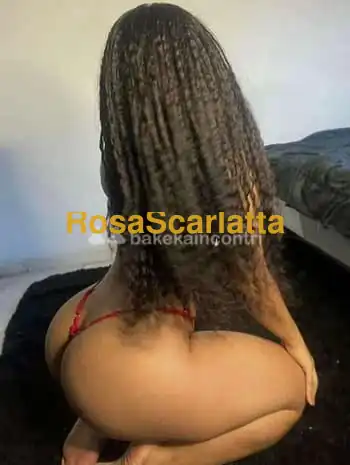 Lorena