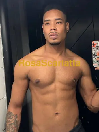 Apolo - Gigolò Voghera