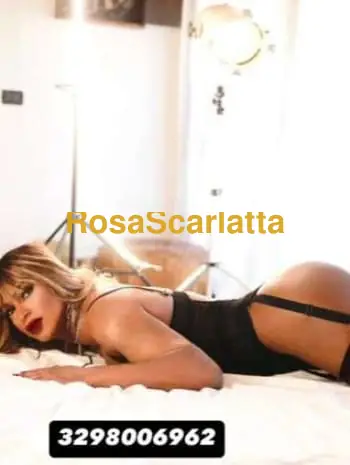 Lea trans new new