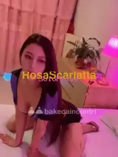 Sofia