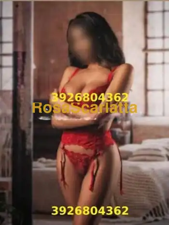 appena arrivata bella ragazza ungherese completissimamolto calda... focosa...b░e░l░l░i░s░s░i░m░a░