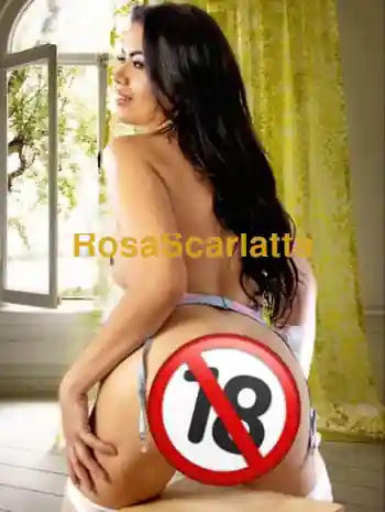 Bruna brasiliana - Roma