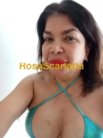 Italobrasiliana