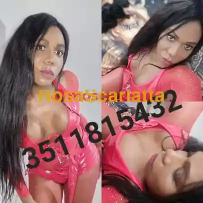 Foto 3 di trans a Diano d'Alba