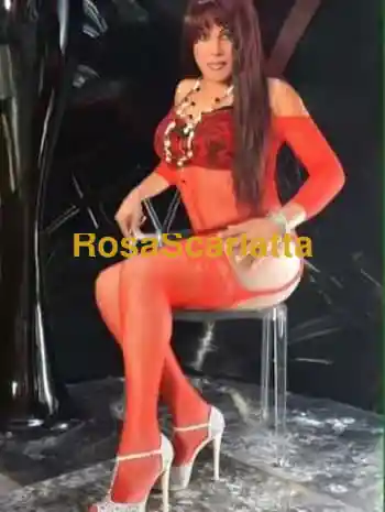trans salome