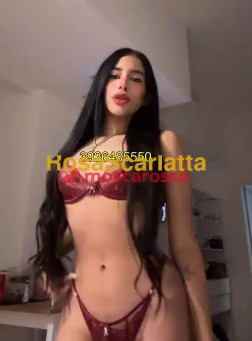 Foto 3 di Antonella, escort a Milano