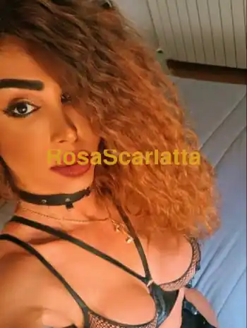 la top tráns de tu sogno con una verá e reale dotazione di 25x18 bella e elegante foto 100% reale cosa aspetti