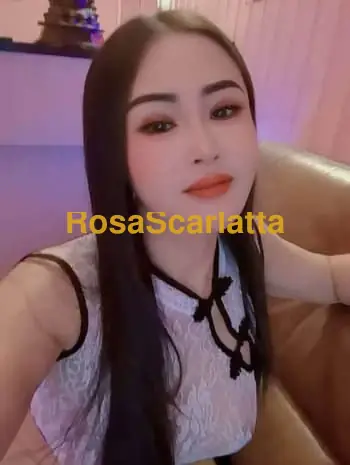 Elisa