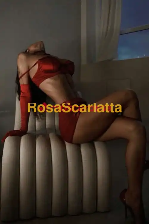 Foto 3 di Lindosa, escort a Ferrara