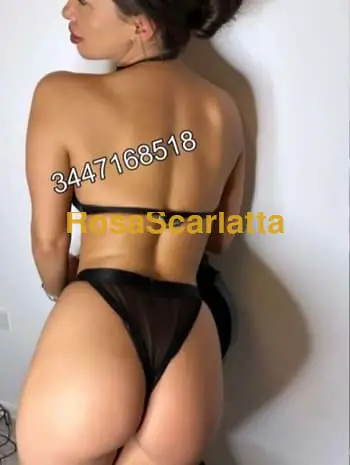 New